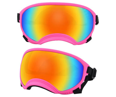 Lunette de ski pour chien