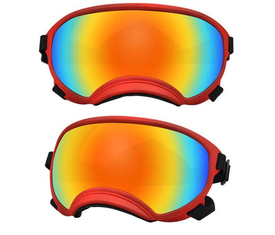 Lunette de ski pour chien