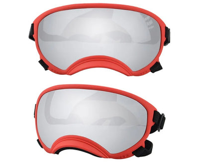 Lunette de ski pour chien