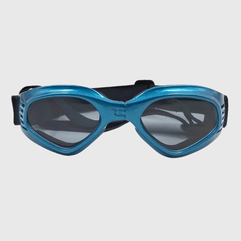 https://cdn.shopify.com/s/files/1/0763/9767/4819/files/Lunette_de_soleil_pour_chien_voiture.png?v=1748610596