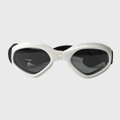 https://cdn.shopify.com/s/files/1/0763/9767/4819/files/Lunette_de_soleil_pour_chien_blanc.png?v=1748610596