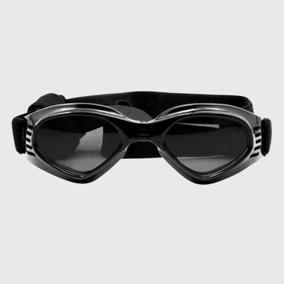 https://cdn.shopify.com/s/files/1/0763/9767/4819/files/Lunette_de_soleil_pour_chien_noir.png?v=1748610596