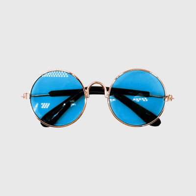 https://cdn.shopify.com/s/files/1/0763/9767/4819/files/Lunette_de_soleil_ronde_pour_chien_bleu.png?v=1701792050