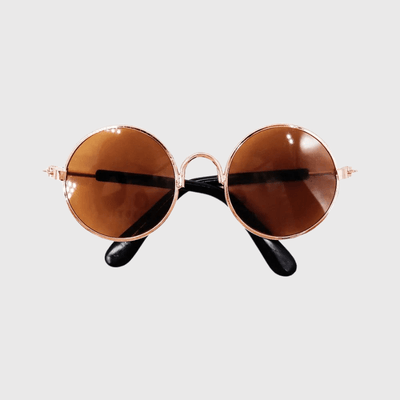 https://cdn.shopify.com/s/files/1/0763/9767/4819/files/Lunette_de_soleil_ronde_pour_chien_marron.png?v=1701792050