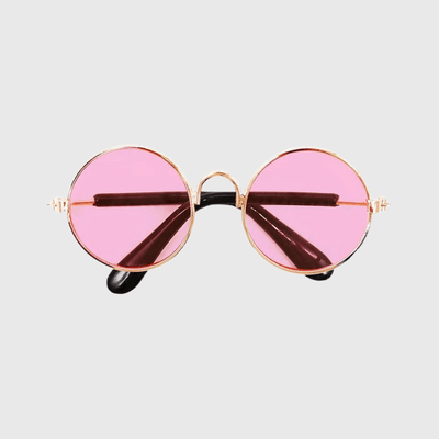 https://cdn.shopify.com/s/files/1/0763/9767/4819/files/Lunette_de_soleil_ronde_pour_chien_rose.png?v=1701792050