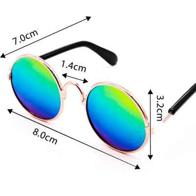 https://cdn.shopify.com/s/files/1/0763/9767/4819/files/Lunette_de_soleil_ronde_pour_chien_taille.png?v=1701792050