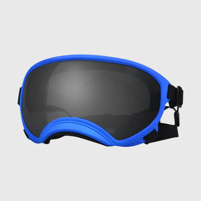 https://cdn.shopify.com/s/files/1/0763/9767/4819/files/Lunette_moto_pour_chien_bleu_sombre.png?v=1744288968