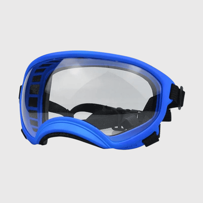 https://cdn.shopify.com/s/files/1/0763/9767/4819/files/Lunette_moto_pour_chien_bleu_transparent.png?v=1744288968