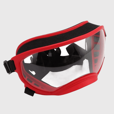 https://cdn.shopify.com/s/files/1/0763/9767/4819/files/Lunette_moto_pour_chien_chiot.png?v=1744288979