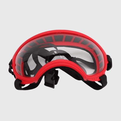 https://cdn.shopify.com/s/files/1/0763/9767/4819/files/Lunette_moto_pour_chien_modele.png?v=1744288973