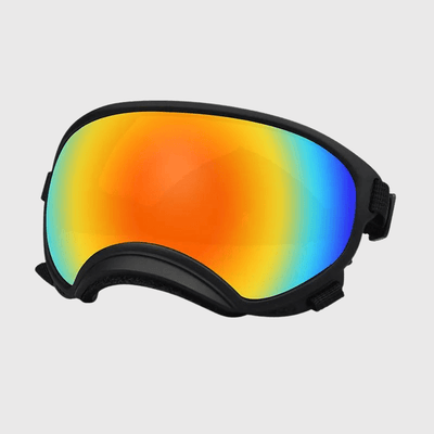 https://cdn.shopify.com/s/files/1/0763/9767/4819/files/Lunette_moto_pour_chien_noir_couleur.png?v=1744288968