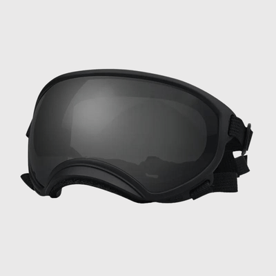 https://cdn.shopify.com/s/files/1/0763/9767/4819/files/Lunette_moto_pour_chien_noir_sombre.png?v=1744288968