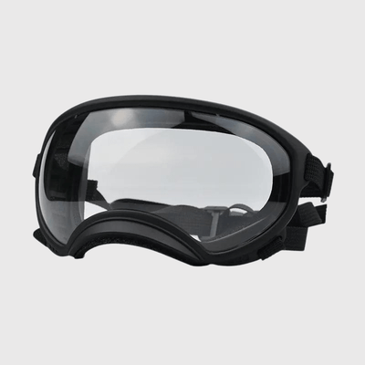 https://cdn.shopify.com/s/files/1/0763/9767/4819/files/Lunette_moto_pour_chien_noir_transparent.png?v=1744288968