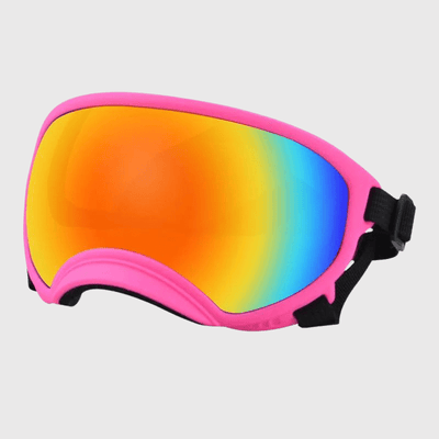 https://cdn.shopify.com/s/files/1/0763/9767/4819/files/Lunette_moto_pour_chien_rose_couelur.png?v=1744288968