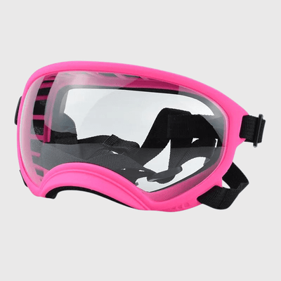 https://cdn.shopify.com/s/files/1/0763/9767/4819/files/Lunette_moto_pour_chien_rose_transparent.png?v=1744288968