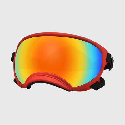 https://cdn.shopify.com/s/files/1/0763/9767/4819/files/Lunette_moto_pour_chien_rouge_couleur.png?v=1744288968