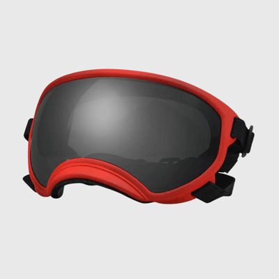 https://cdn.shopify.com/s/files/1/0763/9767/4819/files/Lunette_moto_pour_chien_rouge_sombre.png?v=1744288968