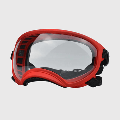 https://cdn.shopify.com/s/files/1/0763/9767/4819/files/Lunette_moto_pour_chien_rouge_transparent.png?v=1744288968