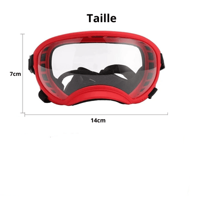 https://cdn.shopify.com/s/files/1/0763/9767/4819/files/Lunette_moto_pour_chien_taille_S.png?v=1744288979