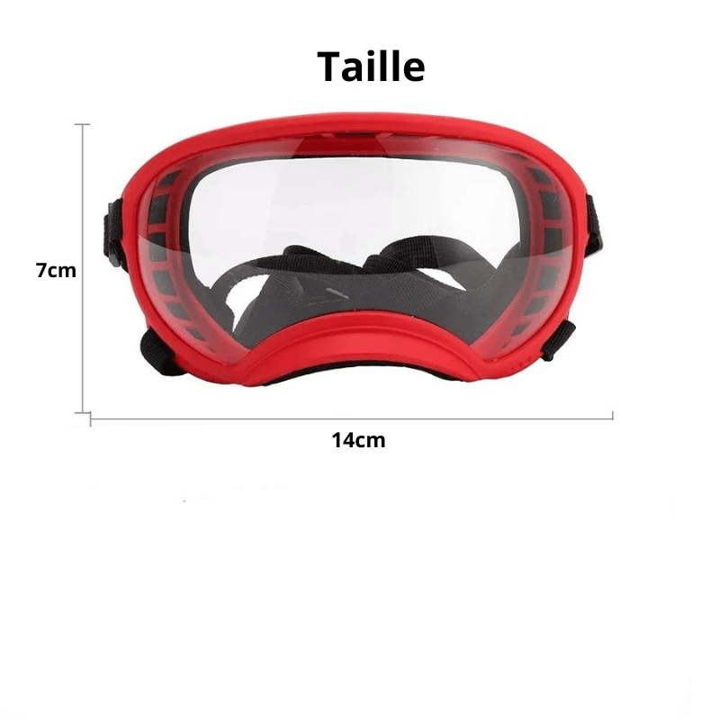 https://cdn.shopify.com/s/files/1/0763/9767/4819/files/Lunette_moto_pour_chien_et_son_maitre_en_balade_en_moto.png?v=1744289028