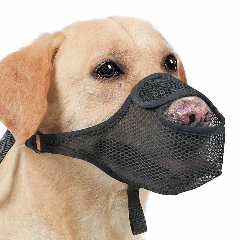 MUSELIÈRE EN MAILLE - Gros-Chien.com