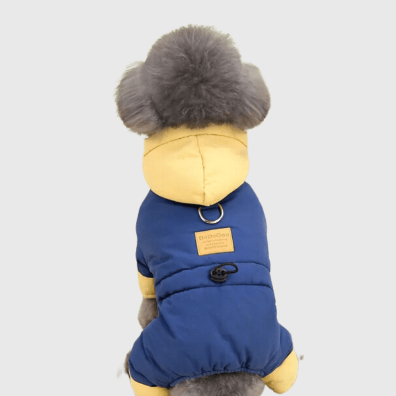 https://cdn.shopify.com/s/files/1/0763/9767/4819/files/Manteau_4_pattes_pour_chien_bleu_modele_caniche.png?v=1699978691