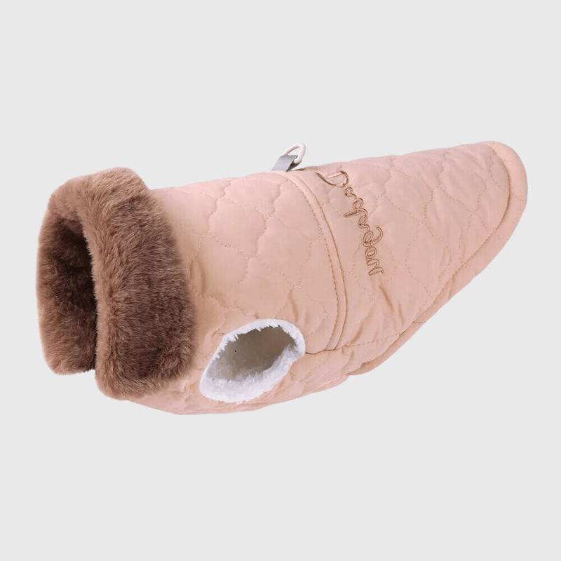 https://cdn.shopify.com/s/files/1/0763/9767/4819/files/Manteau_Hiver_pour_chien.png?v=1753289304