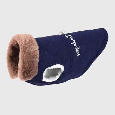 https://cdn.shopify.com/s/files/1/0763/9767/4819/files/Manteau_Hiver_pour_chien_bleu.png?v=1753289304