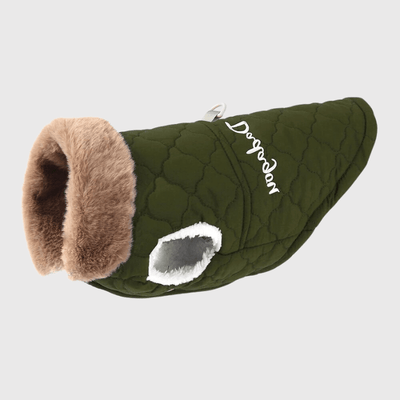https://cdn.shopify.com/s/files/1/0763/9767/4819/files/Manteau_Hiver_pour_chien_vert.png?v=1753289304