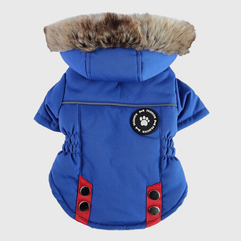 https://cdn.shopify.com/s/files/1/0763/9767/4819/files/Manteau_avec_capuche_pour_chien_avec_harnais_integre_bleu.png?v=1763814816