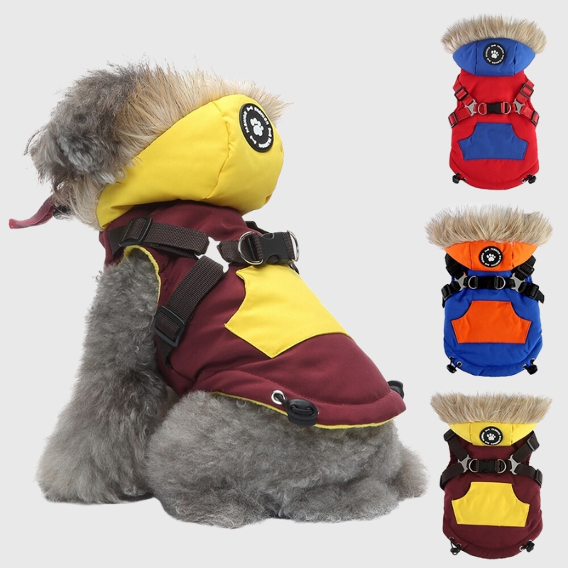 https://cdn.shopify.com/s/files/1/0763/9767/4819/files/Manteau_avec_capuche_pour_chien_avec_harnais_integre_modele_d_exposition.png?v=1763814816