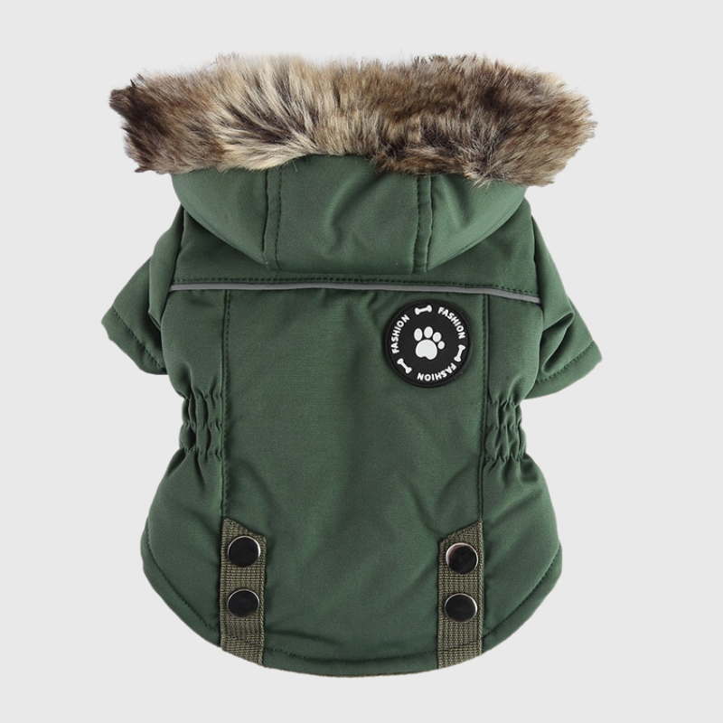 https://cdn.shopify.com/s/files/1/0763/9767/4819/files/Manteau_avec_capuche_pour_chien_avec_harnais_integre_vert.png?v=1763814816