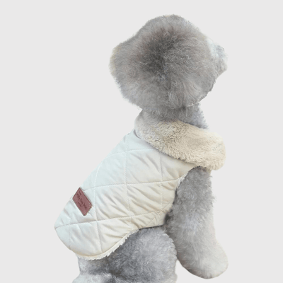 https://cdn.shopify.com/s/files/1/0763/9767/4819/files/Manteau_chaud_pour_chien_caniche.png?v=1752235589
