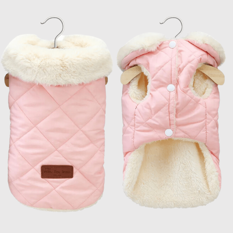 https://cdn.shopify.com/s/files/1/0763/9767/4819/files/Manteau_chaud_pour_chien.png?v=1752235608
