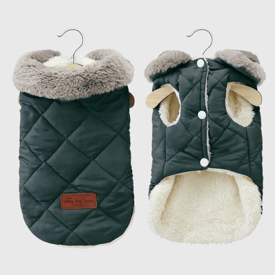 https://cdn.shopify.com/s/files/1/0763/9767/4819/files/Manteau_chaud_pour_chien_vert.png?v=1752235589