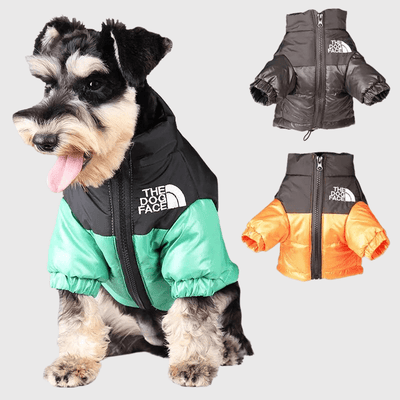 https://cdn.shopify.com/s/files/1/0763/9767/4819/files/Manteau_hiver_pour_chien_The_Dog_Face_exemple.png?v=1704735750