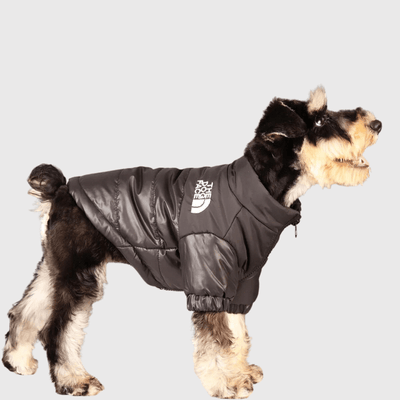 https://cdn.shopify.com/s/files/1/0763/9767/4819/files/Manteau_hiver_pour_chien_The_Dog_Face_toutou.png?v=1704735750