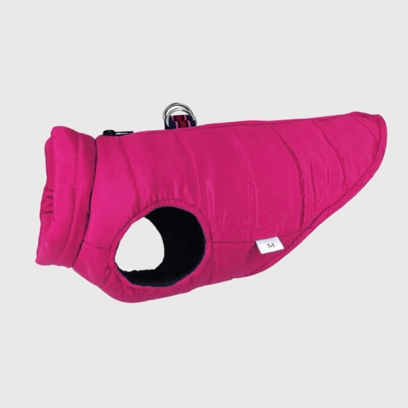 https://cdn.shopify.com/s/files/1/0763/9767/4819/files/Manteau_impermeable_pour_chien_hiver.png?v=1759942424