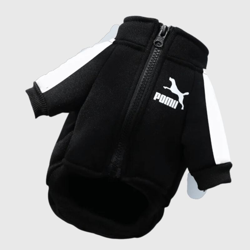 https://cdn.shopify.com/s/files/1/0763/9767/4819/files/Manteau_pour_chien_Poma_Rouge_ou_Noir_1.png?v=1697368725