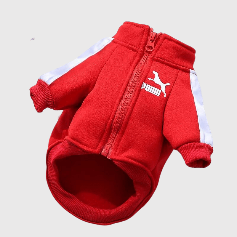 https://cdn.shopify.com/s/files/1/0763/9767/4819/files/Manteau_pour_chien_Poma_Rouge_ou_Noir_1.png?v=1697368725