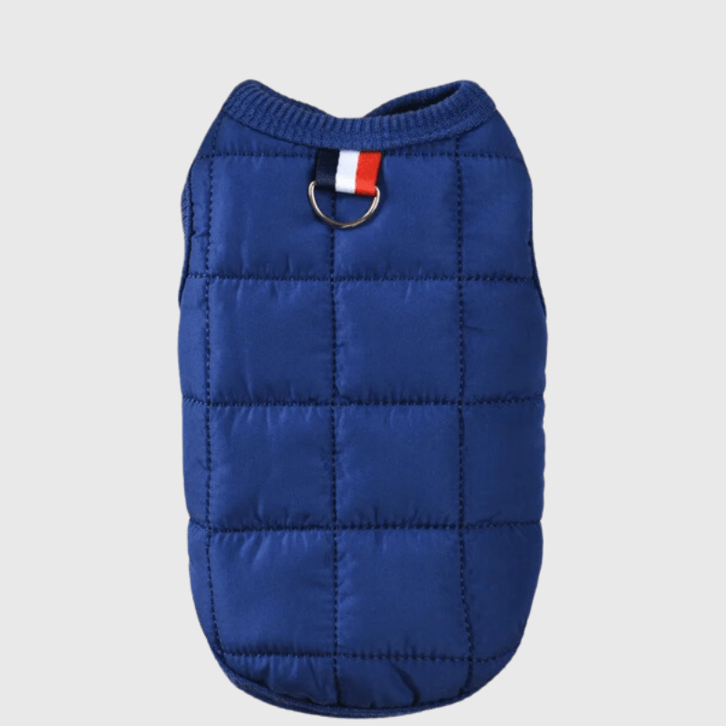https://cdn.shopify.com/s/files/1/0763/9767/4819/files/Manteau_pour_chien_en_laine_bleu.png?v=1697372767