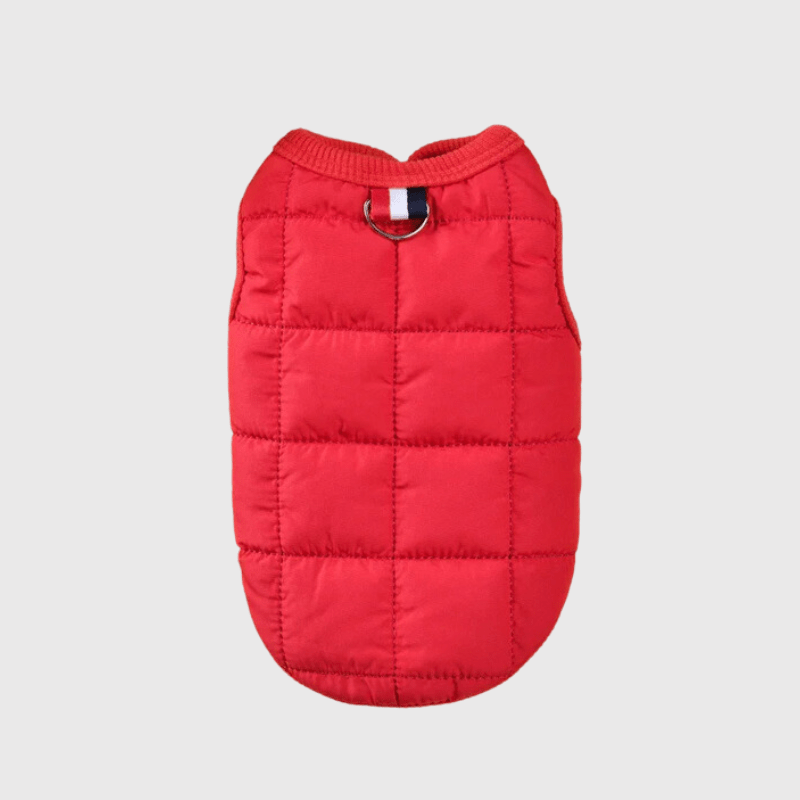 https://cdn.shopify.com/s/files/1/0763/9767/4819/files/Manteau_pour_chien_en_laine_rouge.png?v=1697372971