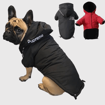 https://cdn.shopify.com/s/files/1/0763/9767/4819/files/Manteau_pour_chien_grand_froid_bouledogue.png?v=1755601181