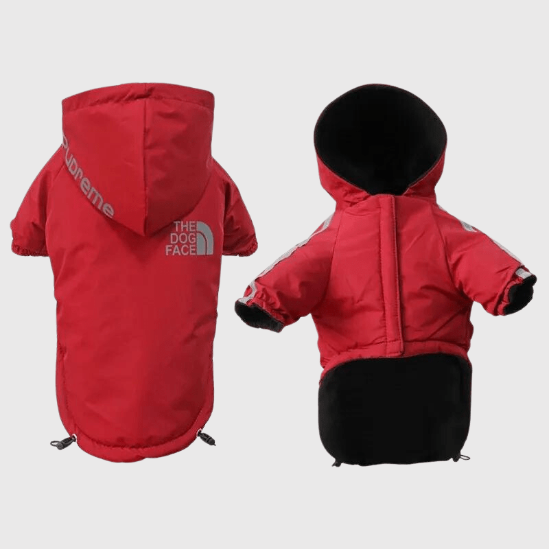 https://cdn.shopify.com/s/files/1/0763/9767/4819/files/Manteau_pour_chien_grand_froid_noir_aed41f61-c20f-484c-b133-9afb005d835f.png?v=1742323173