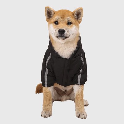https://cdn.shopify.com/s/files/1/0763/9767/4819/files/Manteau_pour_chien_grand_froid_shiba.png?v=1755601181