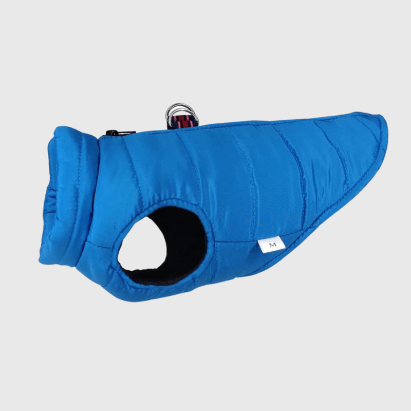 https://cdn.shopify.com/s/files/1/0763/9767/4819/files/Manteau_pour_chien_impermeable_bleu_labardor.png?v=1767799415