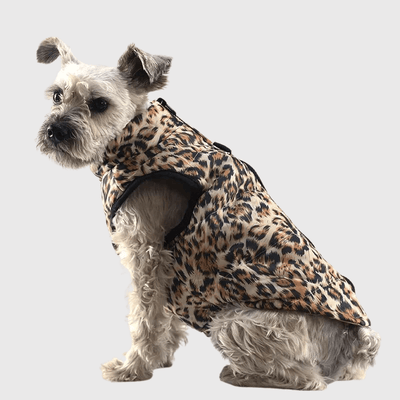 https://cdn.shopify.com/s/files/1/0763/9767/4819/files/Manteau_pour_chien_leopard_caniche.png?v=1753287697