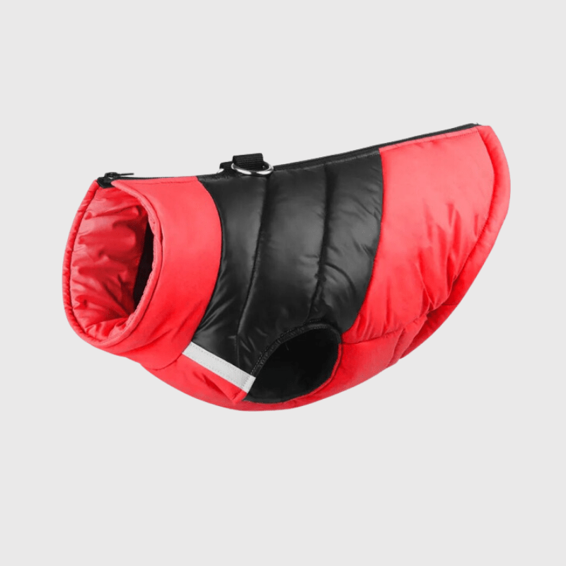 https://cdn.shopify.com/s/files/1/0763/9767/4819/files/Manteau_pour_grand_chien_dehors.png?v=1759944775
