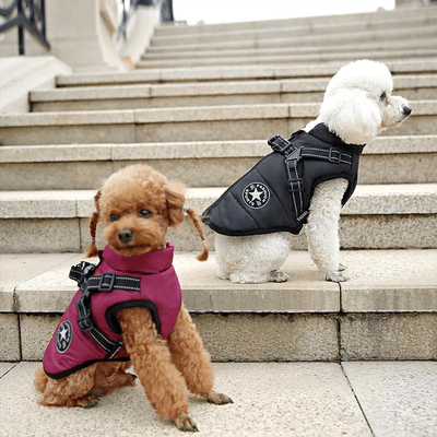 https://cdn.shopify.com/s/files/1/0763/9767/4819/files/Manteau_pour_gros_chien_avec_harnais_caniche.png?v=1754921571