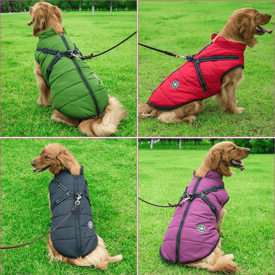 https://cdn.shopify.com/s/files/1/0763/9767/4819/files/Manteau_pour_gros_chien_avec_harnais_labrador.png?v=1754921571